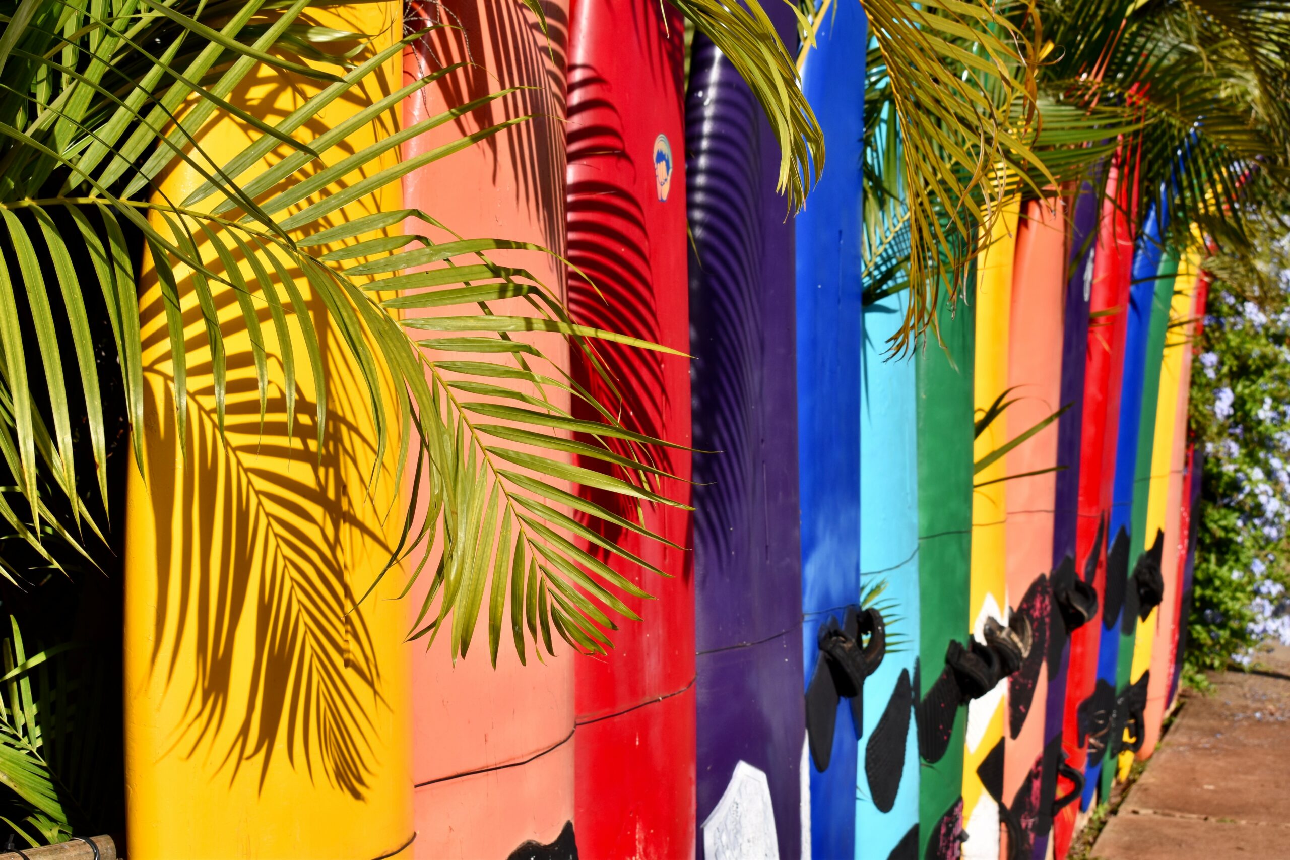 Website Search Engine Optimization Hawaii Surfboards Photo