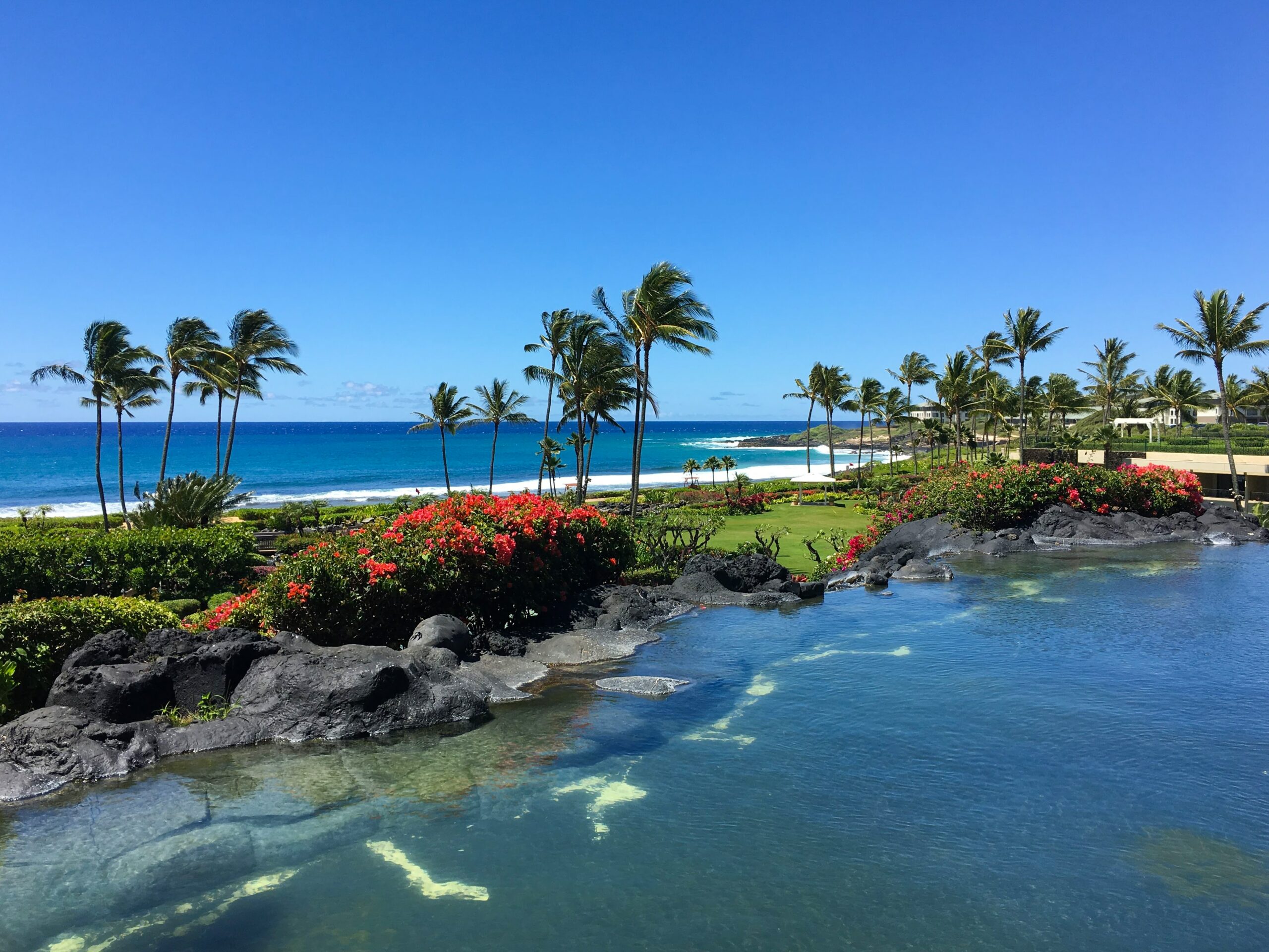 Digital Marketing Maui Landscape Photo